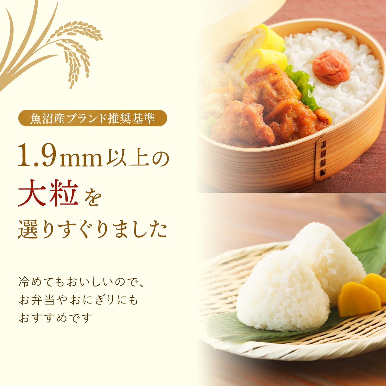 魚沼産コシヒカリ（従来品種）玄米20㎏～60kg《通常価格よりお得なお