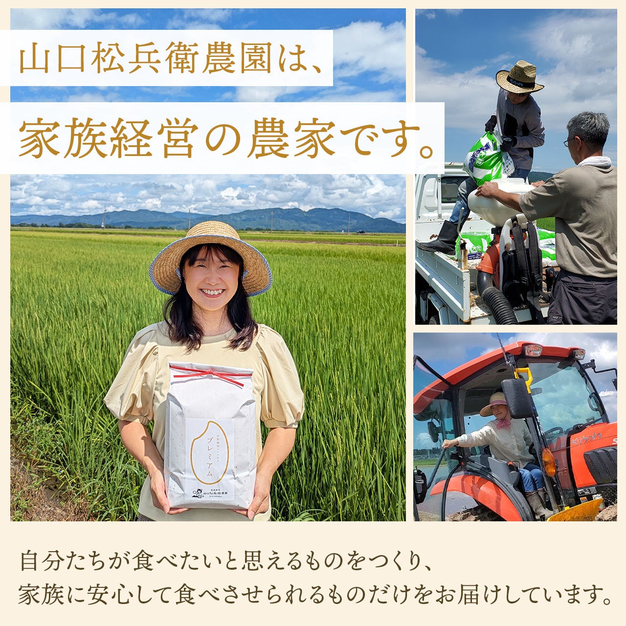 魚沼産コシヒカリ（従来品種）玄米20㎏～60kg《通常価格よりお得なお